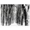 Designart - Snowy Forest Black and White - Modern Forest Canvas Art